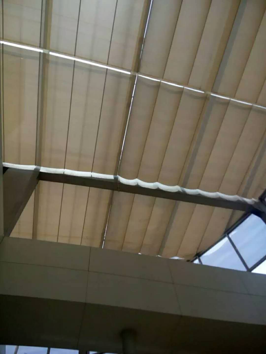 ���ﺟ